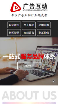 �����վ�ֻ���ģ��������ƿ���