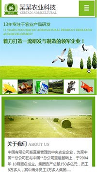 ũҵ��վ�ֻ���ģ��������ƿ���
