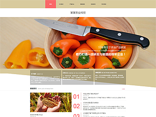 ũҵ��վ���Զ�ģ��������ƿ���