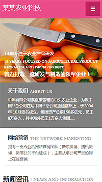 ũҵ��վ�ֻ���ģ��������ƿ���