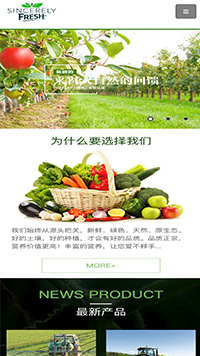 ũҵ��վ�ֻ���ģ��������ƿ���