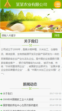 ũҵ��վ�ֻ���ģ��������ƿ���