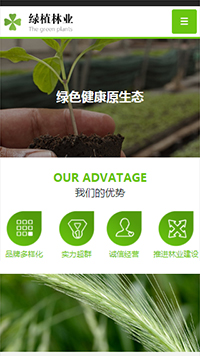 ũҵ��վ�ֻ���ģ��������ƿ���