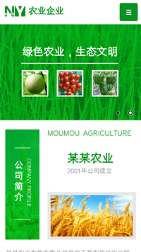 ũҵ��վ�ֻ���ģ��������ƿ���