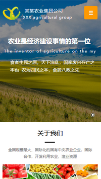 ũҵ��վ�ֻ���ģ��������ƿ���