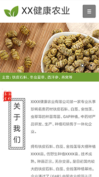 ũҵ��վ�ֻ���ģ��������ƿ���