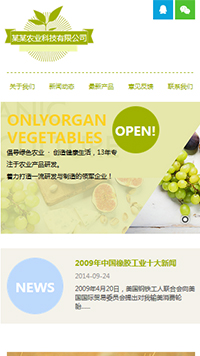 ũҵ��վ�ֻ���ģ��������ƿ���