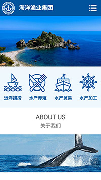 ũҵ��վ�ֻ���ģ��������ƿ���