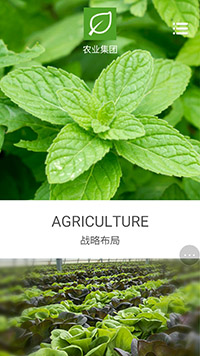 ũҵ��վ�ֻ���ģ��������ƿ���