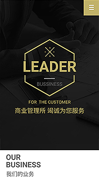 ��ҵ��վ�ֻ���ģ��������ƿ���