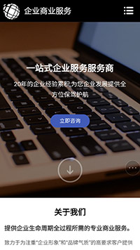 ��ҵ��վ�ֻ���ģ��������ƿ���