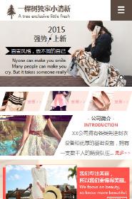 ��װ��վ�ֻ���ģ��������ƿ���