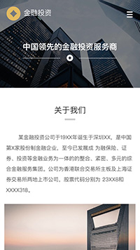 ���ڡ�Ͷ����վ�ֻ���ģ��������ƿ���