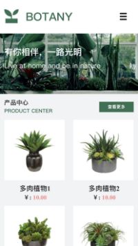 �ʻ���վ�ֻ���ģ��������ƿ���
