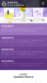 �ʻ���վ�ֻ���ģ��������ƿ���
