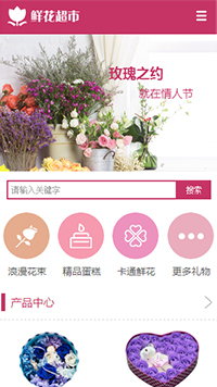 �ʻ���վ�ֻ���ģ��������ƿ���