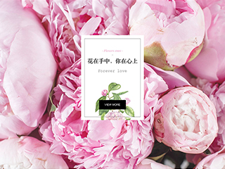 �ʻ���վ���Զ�ģ��������ƿ���