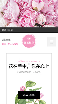 �ʻ���վ�ֻ���ģ��������ƿ���