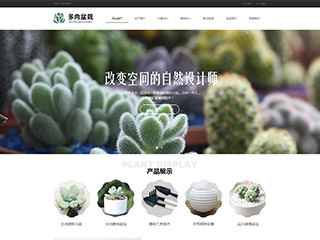 �ʻ���վ���Զ�ģ��������ƿ���