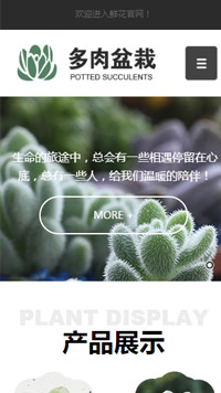 �ʻ���վ�ֻ���ģ��������ƿ���