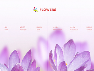 �ʻ���վ���Զ�ģ��������ƿ���