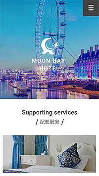 �Ƶ���վ�ֻ���ģ��������ƿ���