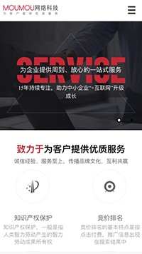 IT�Ƽ���������վ�ֻ���ģ��������ƿ���