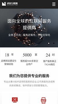 IT�Ƽ���������վ�ֻ���ģ��������ƿ���