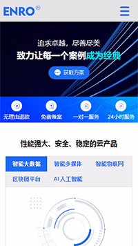 IT�Ƽ���������վ�ֻ���ģ��������ƿ���