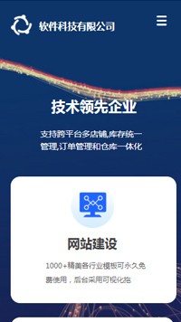 IT�Ƽ���������վ�ֻ���ģ��������ƿ���