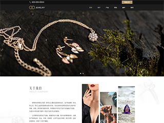 �鱦��������վ���Զ�ģ��������ƿ���