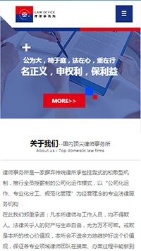 ���ɡ���ʦ��վ�ֻ���ģ��������ƿ���