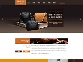 Ƥ����վ���Զ�ģ��������ƿ���