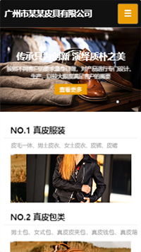 Ƥ����վ�ֻ���ģ��������ƿ���