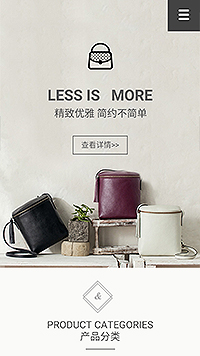 Ƥ����վ�ֻ���ģ��������ƿ���