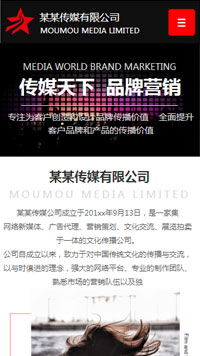 ��ý�������վ�ֻ���ģ��������ƿ���