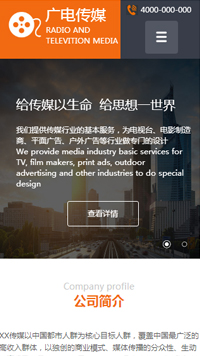 ��ý�������վ�ֻ���ģ��������ƿ���