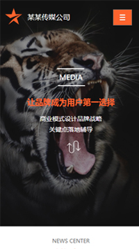 ��ý�������վ�ֻ���ģ��������ƿ���