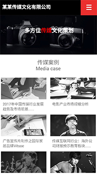 ��ý�������վ�ֻ���ģ��������ƿ���