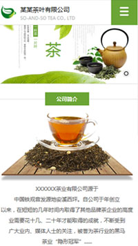 ��Ҷ��վ�ֻ���ģ��������ƿ���