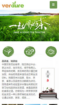 ��Ҷ��վ�ֻ���ģ��������ƿ���