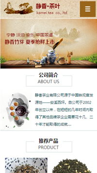 ��Ҷ��վ�ֻ���ģ��������ƿ���