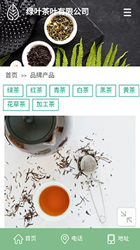 ��Ҷ��վ�ֻ���ģ��������ƿ���