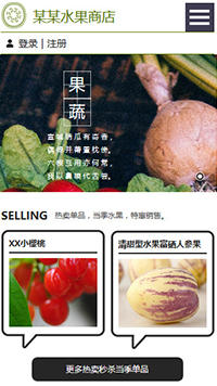 ������վ�ֻ���ģ��������ƿ���