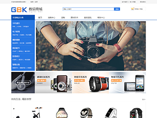 ������վ���Զ�ģ��������ƿ���