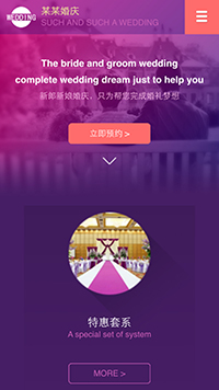 ���񡢻�����վ�ֻ���ģ��������ƿ���