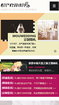 ���񡢻�����վ�ֻ���ģ��������ƿ���