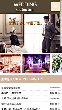 ���񡢻�����վ�ֻ���ģ��������ƿ���